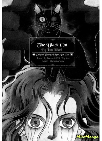 манга Черная кошка (The Black Cat) 09.02.19