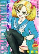 Экспресс Золушка