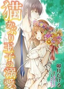 Безумная любовь замаскированного принца