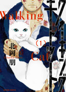 Гуляющий кот