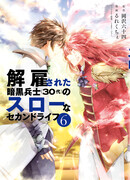 Неспешная жизнь уволенного тёмного солдата (30 лет)