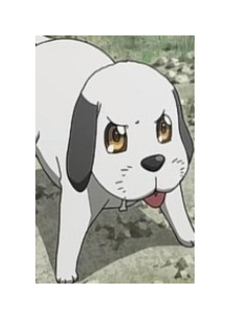 Персонаж Зик 29.06.23