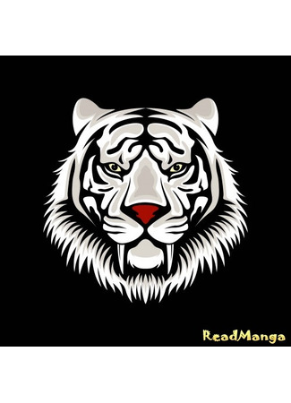 Переводчик Togrok Translation Team 30.12.24