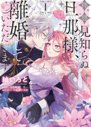 Дорогой мой незнакомец, я хотела бы подать на развод