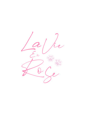 Переводчик LaVieEnRose 04.09.25