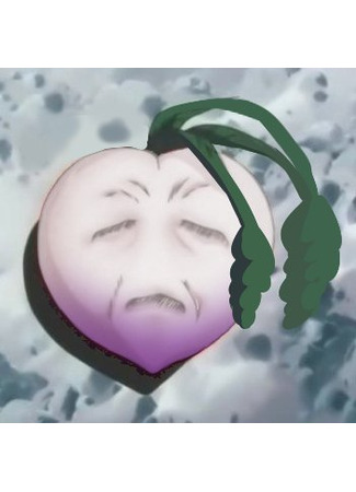 Автор Сун Му 18.11.25